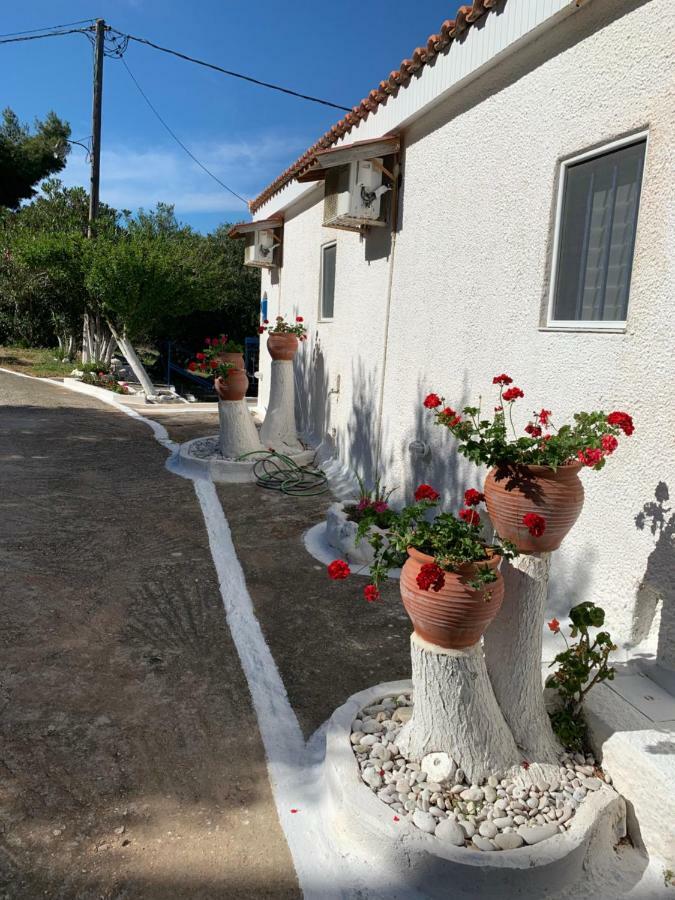 Appartamento B&D 1 Zóla Esterno foto