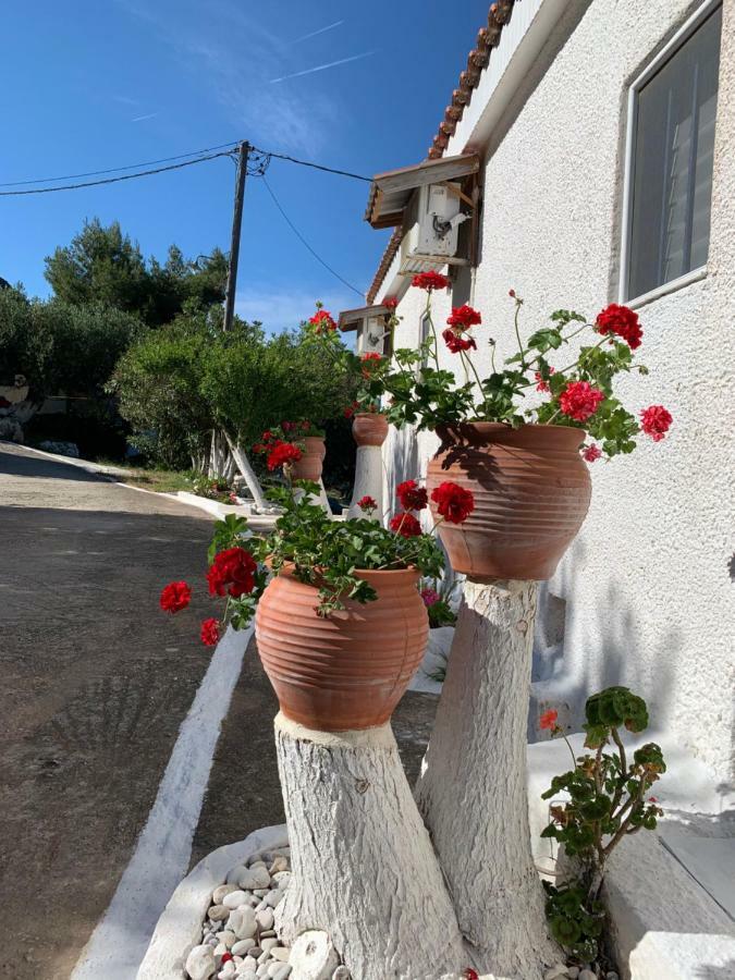 Appartamento B&D 1 Zóla Esterno foto